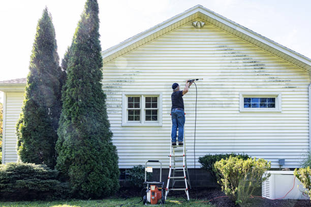 Best Fence Cleaning  in Hallsville, TX
